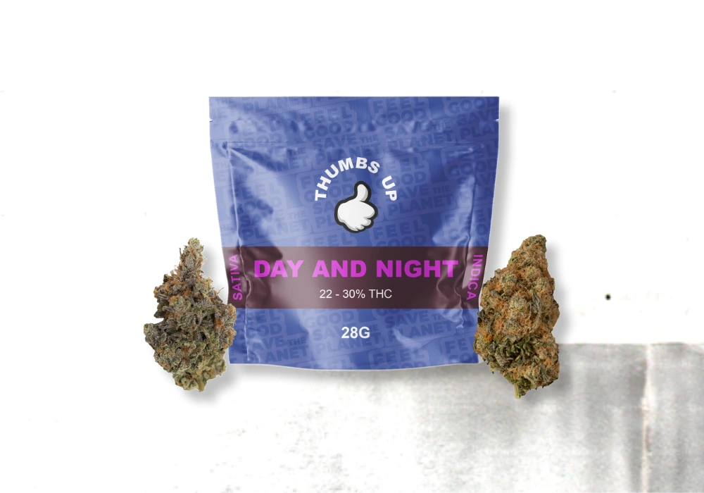 Day & Night Dried Flower