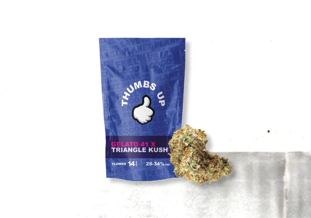 Gelato 41 x Triangle Kush