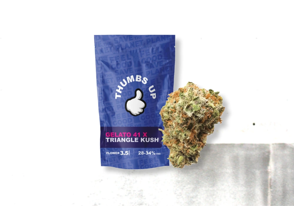 Gelato 41 x Triangle Kush